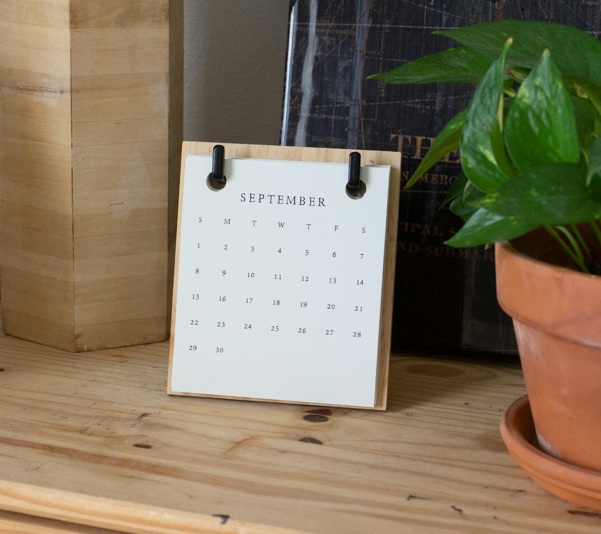 Desk calendar beside a potted plant